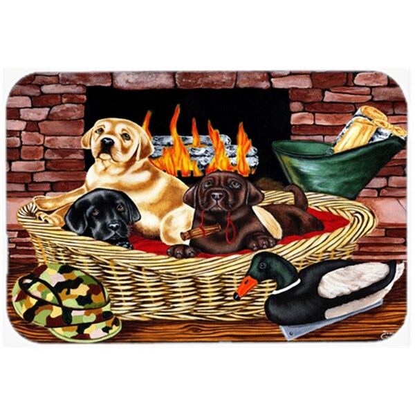 Carolines Treasures The Next Generation Labrador Indoor or Outdoor Mat- 18 x 27 AMB1362MAT - main